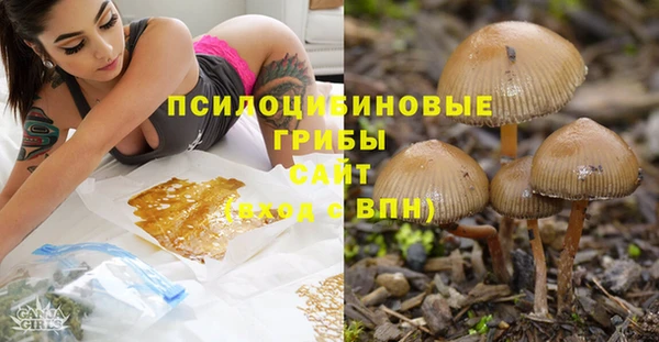 spice Ельня