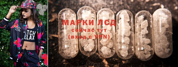 spice Ельня