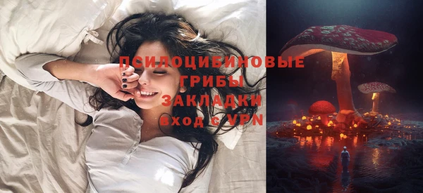 spice Ельня