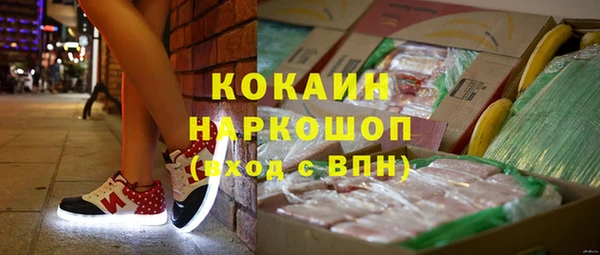 spice Ельня