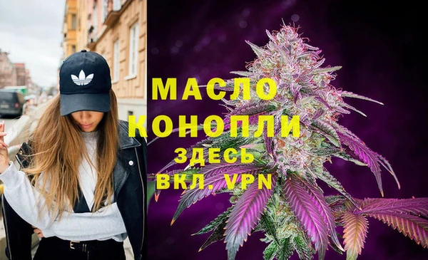 spice Ельня